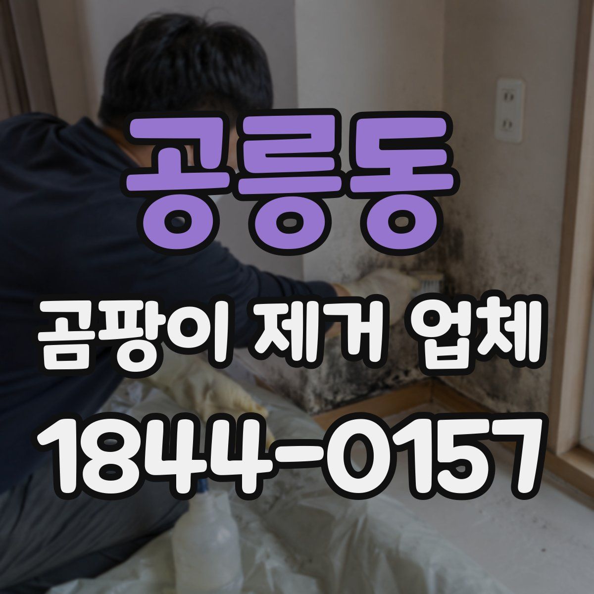 공릉동 곰팡이 제거 업체