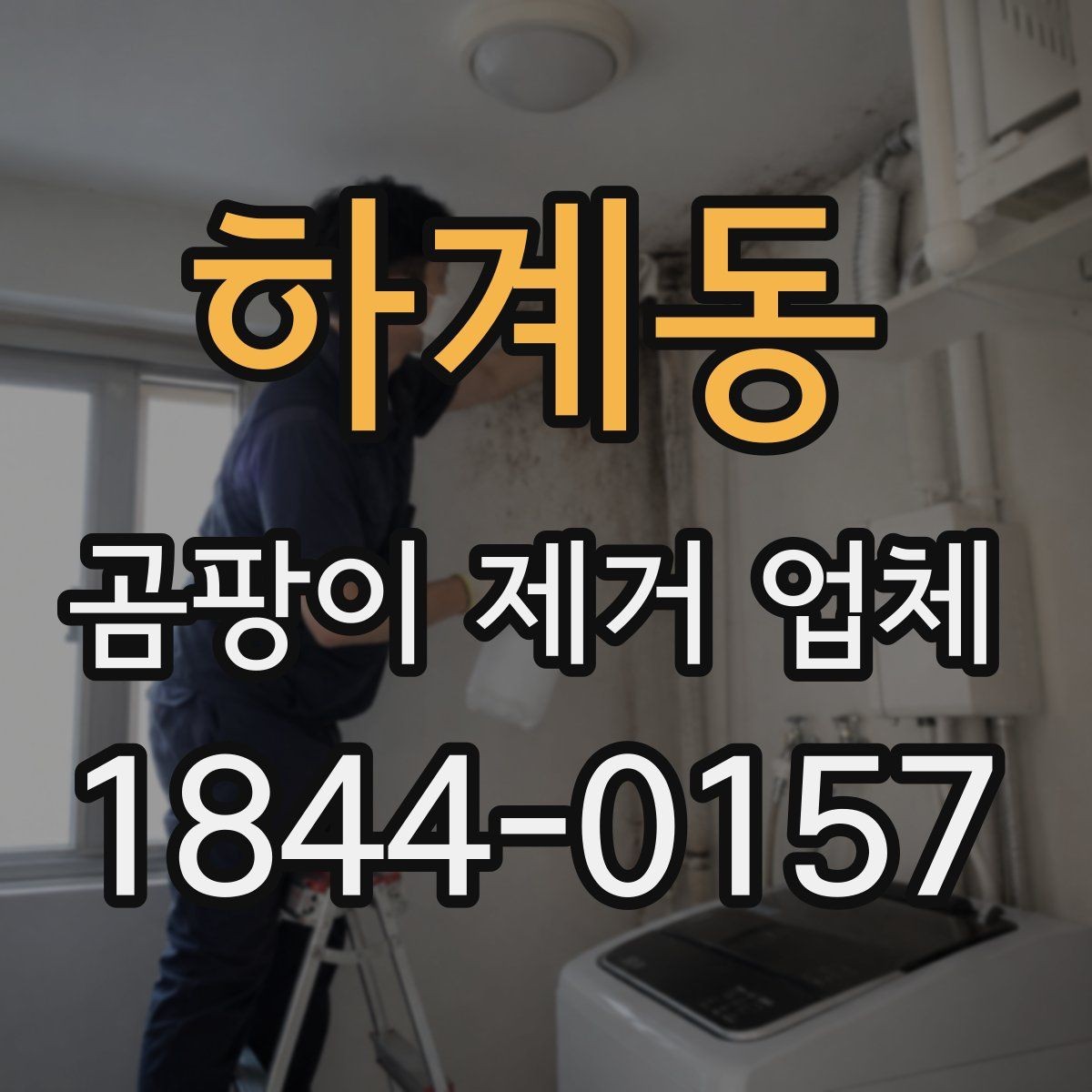 하계동 곰팡이 제거 업체 마감 상태별 시공 전후 비교 포인트