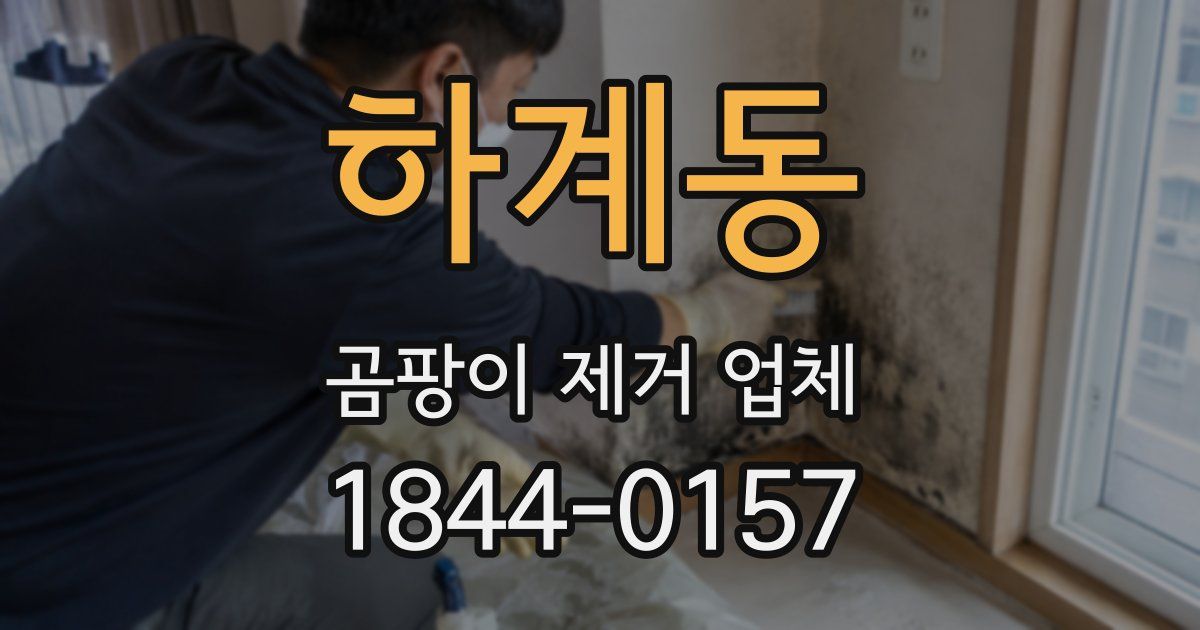 하계동 곰팡이 제거 업체
