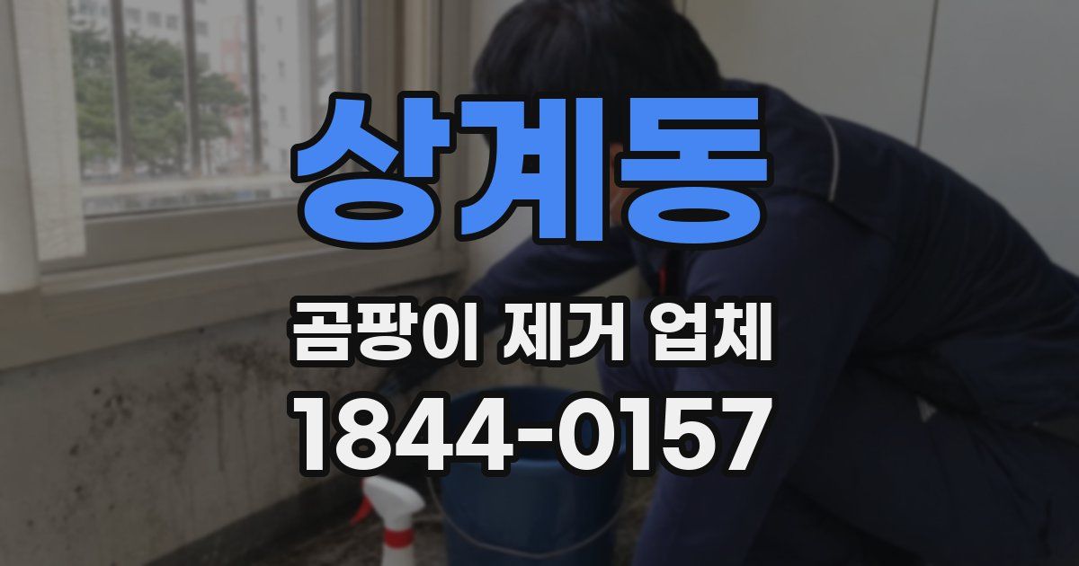 상계동 곰팡이 제거 업체