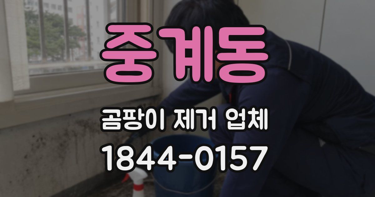 중계동 곰팡이 제거 업체