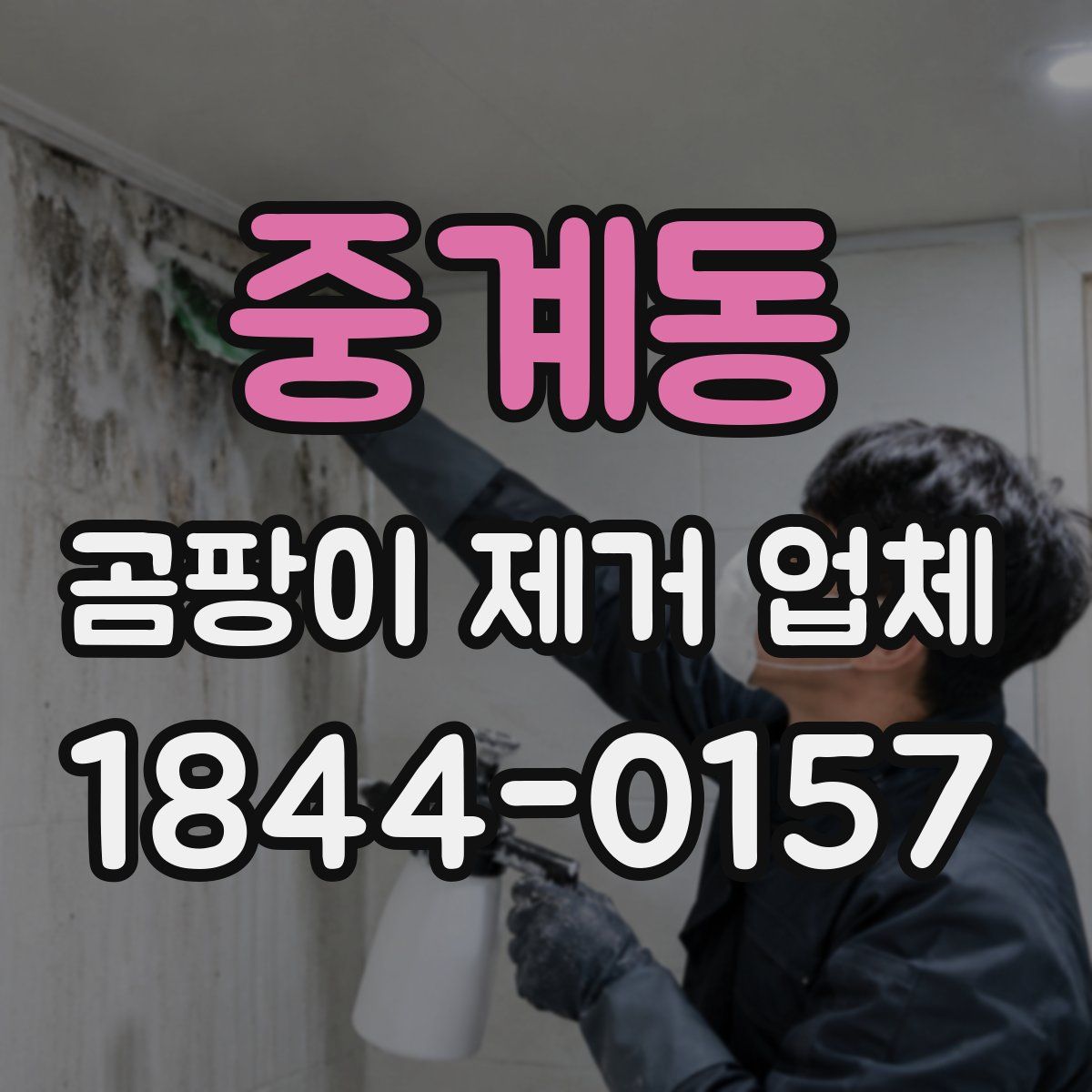 중계동 곰팡이 제거 업체
