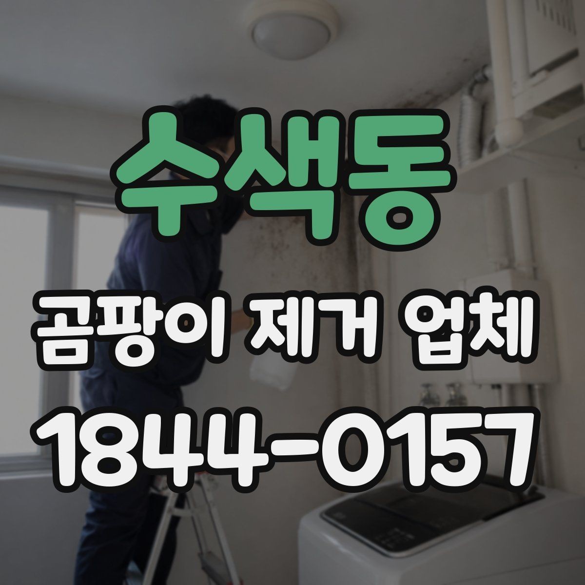 수색동 곰팡이 제거 업체 시공 후 재발을 줄이는 관리법