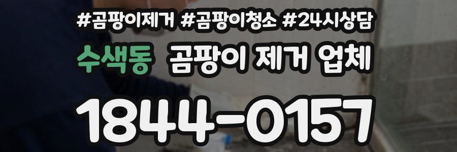 수색동 곰팡이 제거 업체