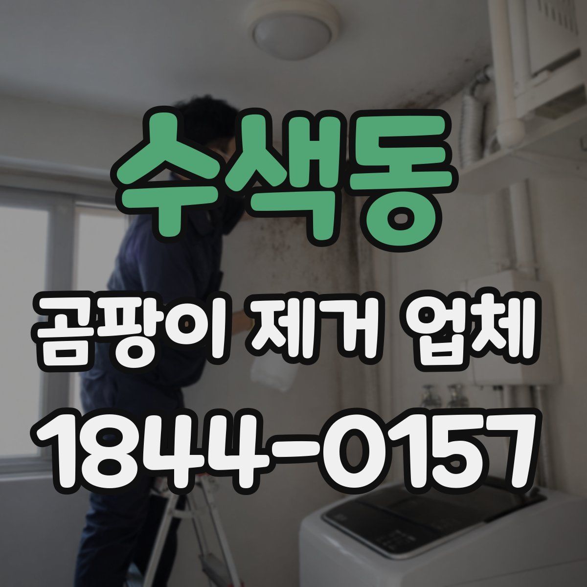 수색동 곰팡이 제거 업체