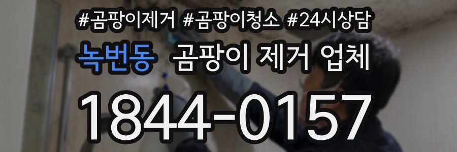 녹번동 곰팡이 제거 업체