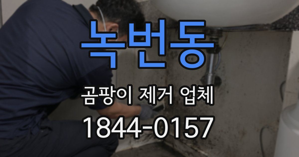 녹번동 곰팡이 제거 업체