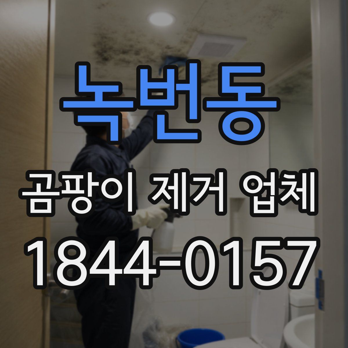 녹번동 곰팡이 제거 업체