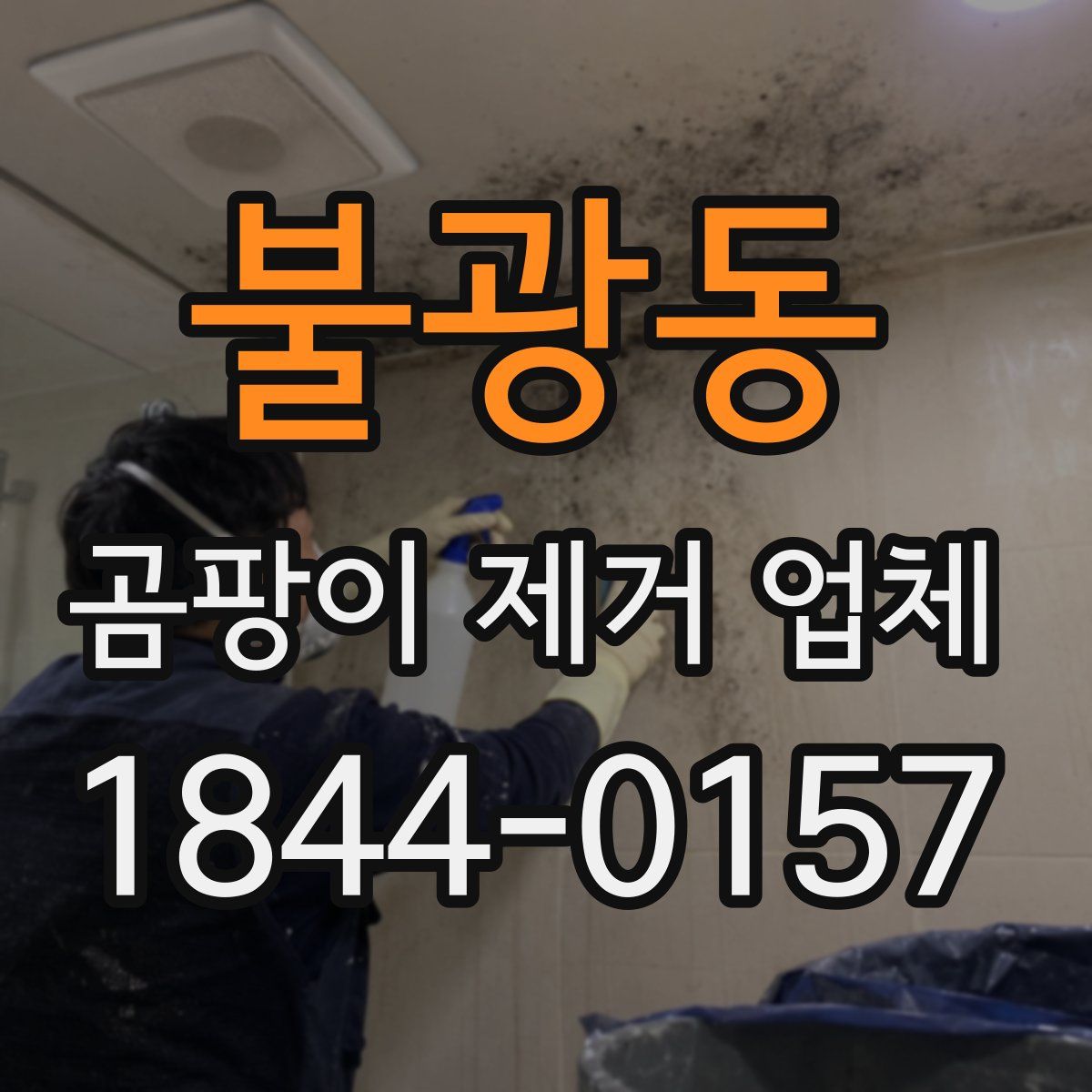 불광동 곰팡이 제거 업체