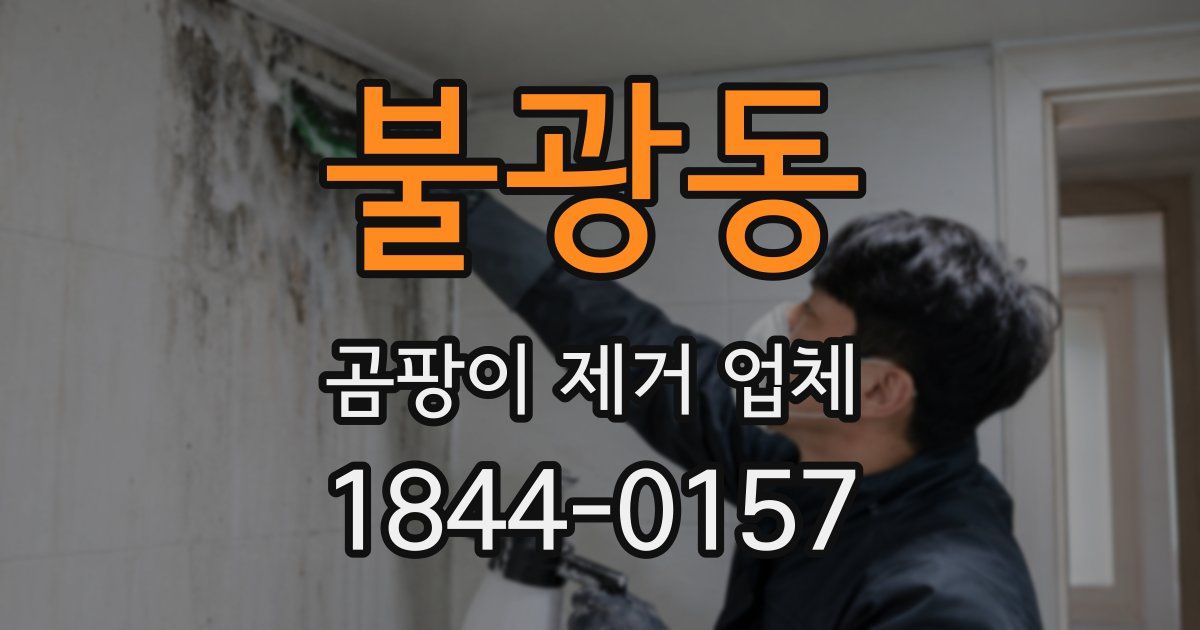 불광동 곰팡이 제거 업체