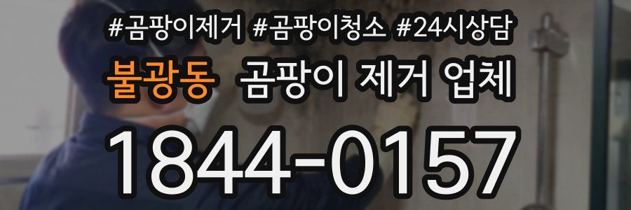 불광동 곰팡이 제거 업체