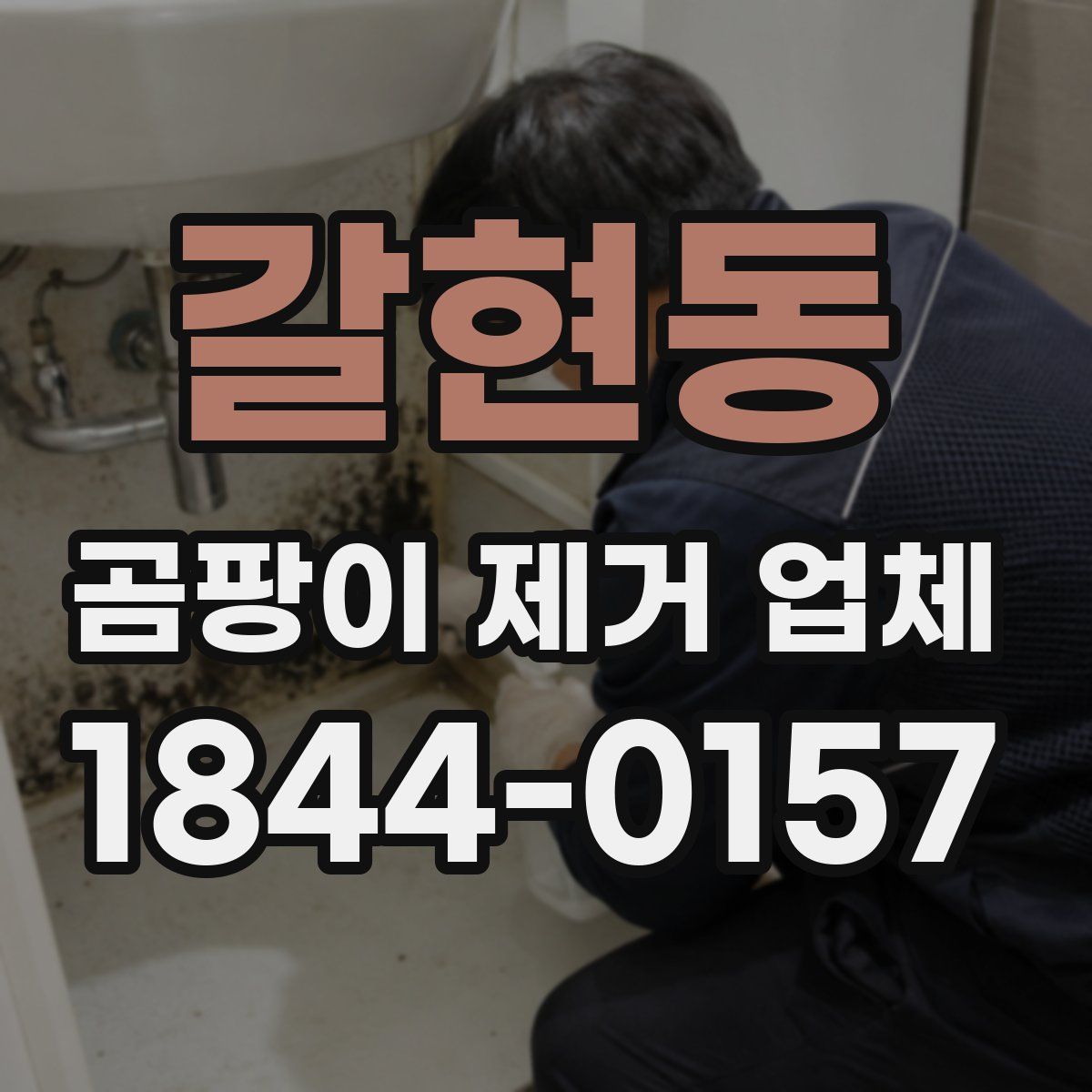 갈현동 곰팡이 제거 업체