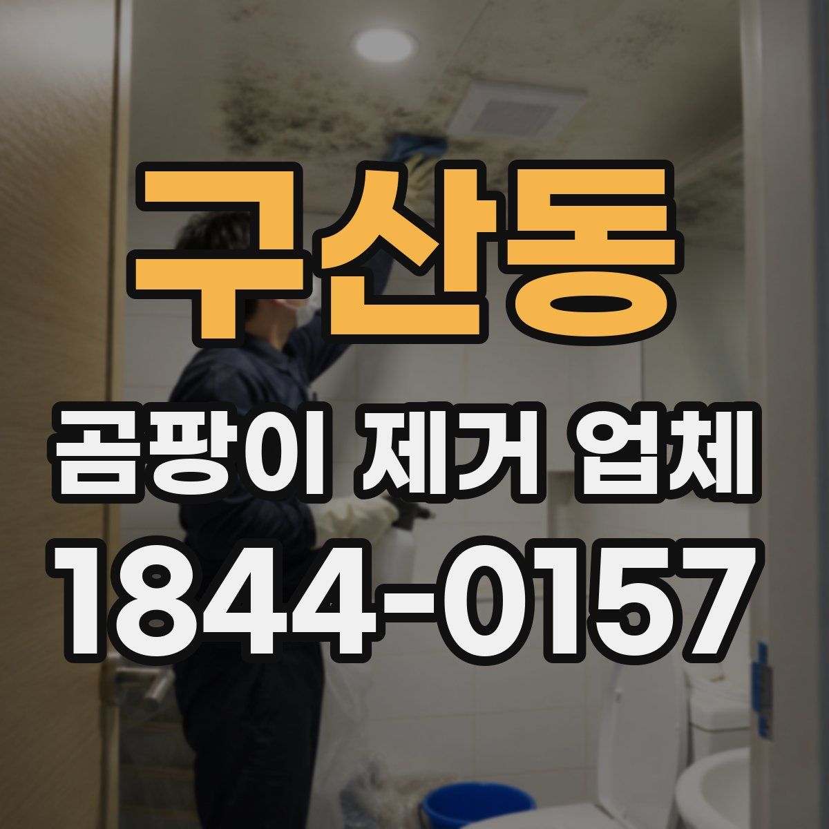 구산동 곰팡이 제거 업체