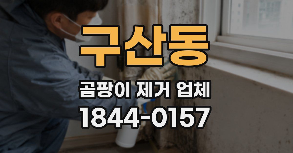 구산동 곰팡이 제거 업체