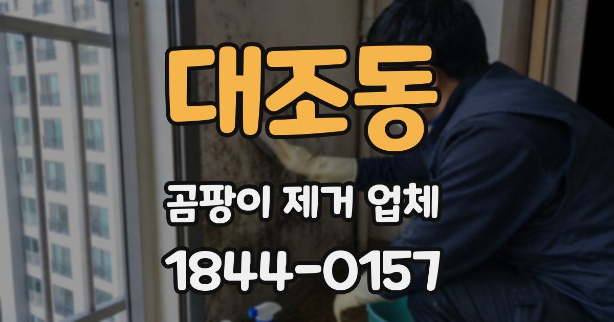 대조동 곰팡이 제거 업체