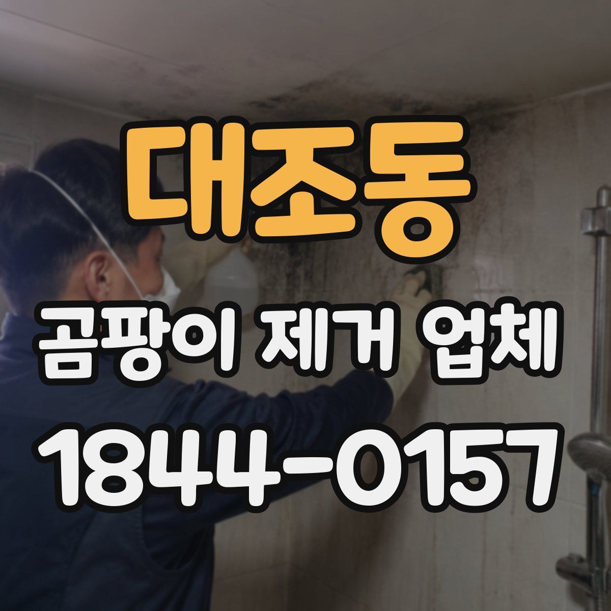 대조동 곰팡이 제거 업체