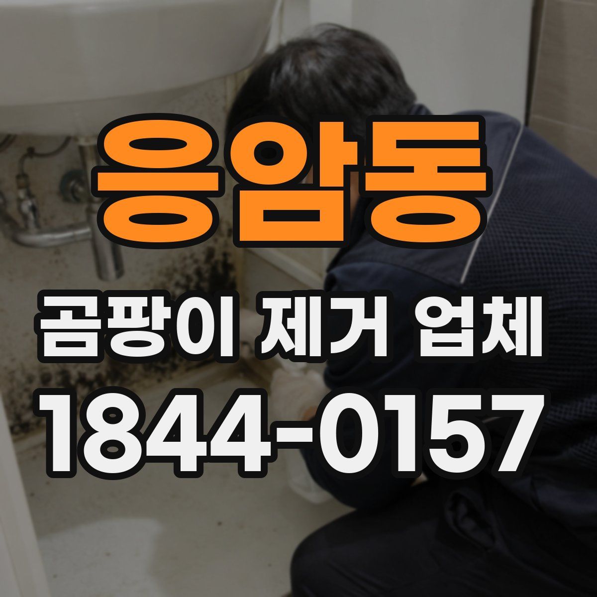 응암동 곰팡이 제거 업체