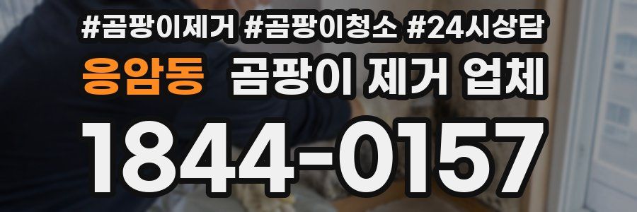 응암동 곰팡이 제거 업체