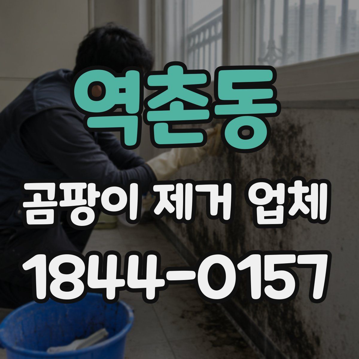 역촌동 곰팡이 제거 업체