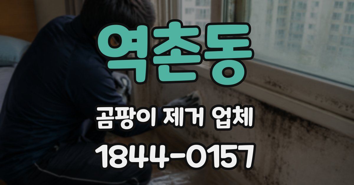역촌동 곰팡이 제거 업체