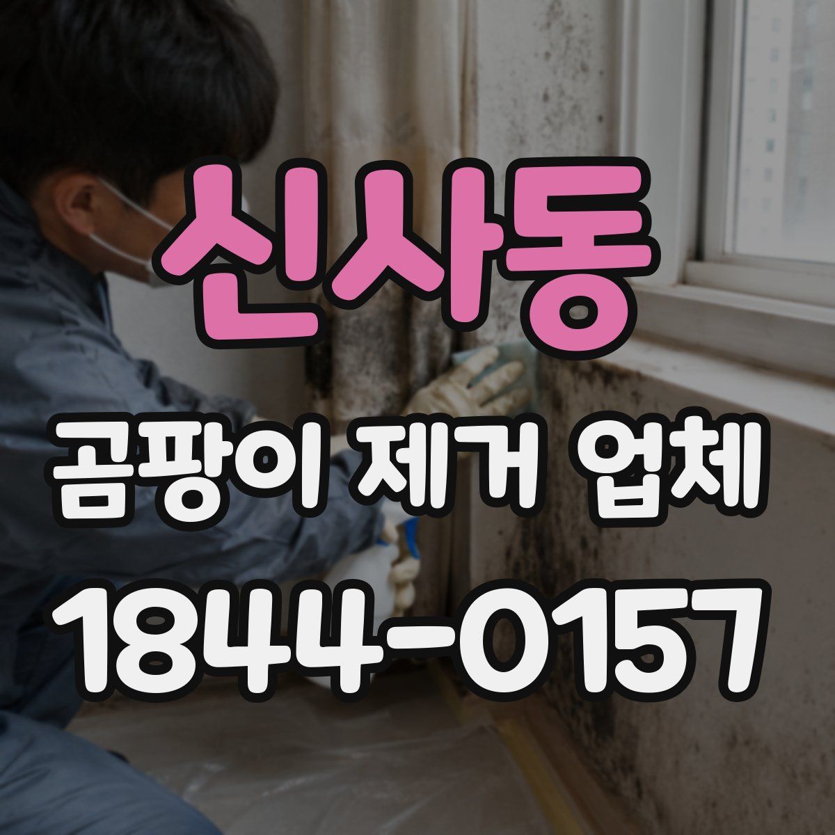 신사동 곰팡이 제거 업체