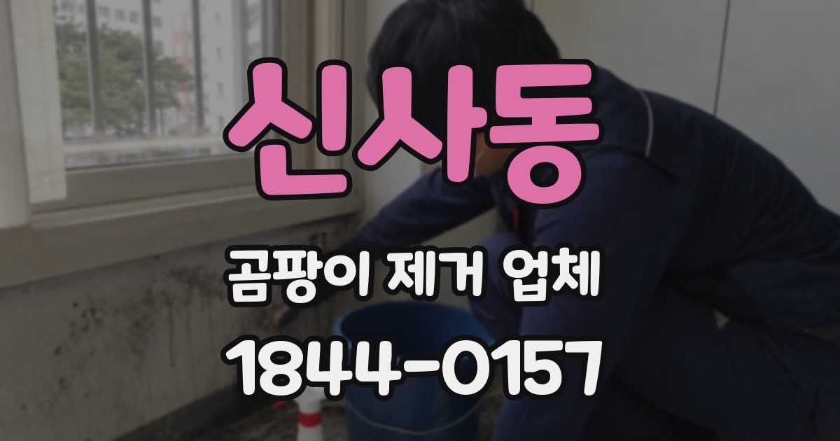 신사동 곰팡이 제거 업체