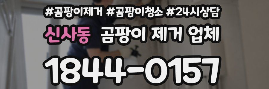신사동 곰팡이 제거 업체