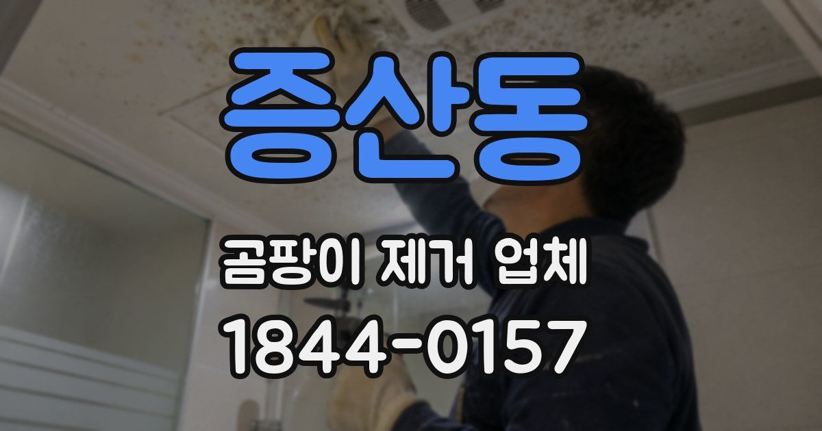 증산동 곰팡이 제거 업체
