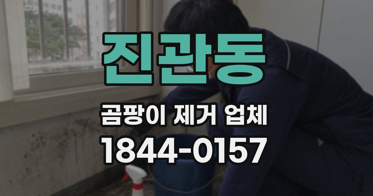 진관동 곰팡이 제거 업체