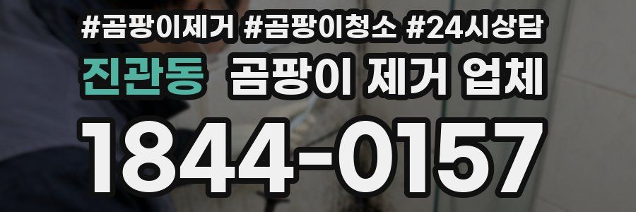 진관동 곰팡이 제거 업체
