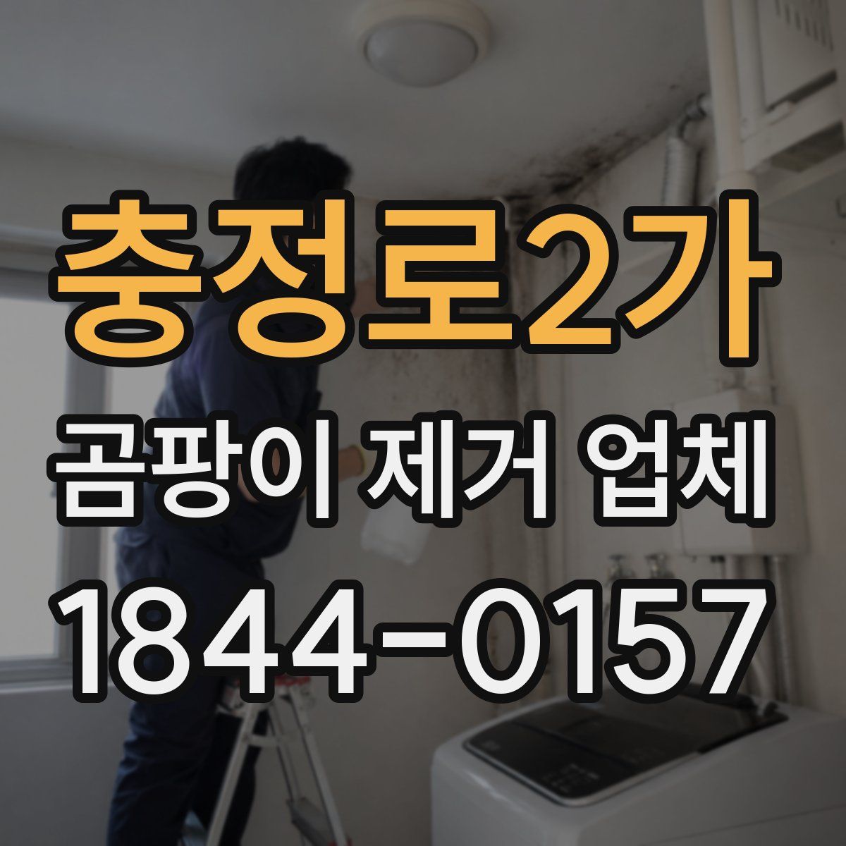 충정로2가 곰팡이 제거 업체