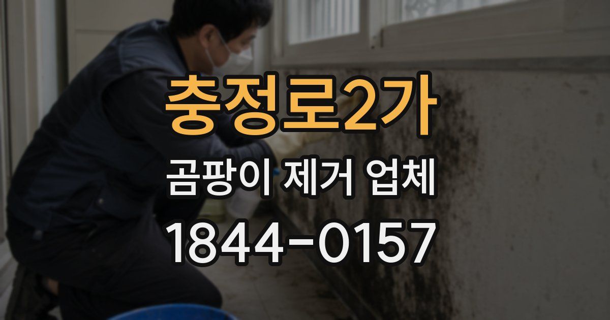 충정로2가 곰팡이 제거 업체