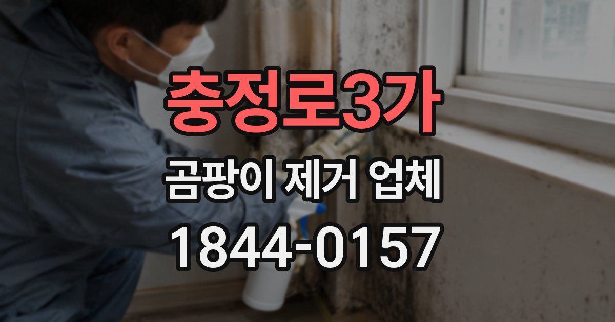 충정로3가 곰팡이 제거 업체