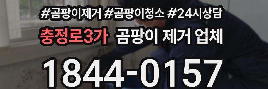 충정로3가 곰팡이 제거 업체