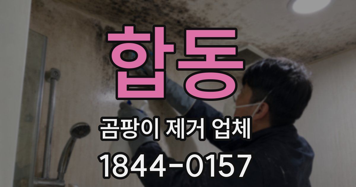 합동 곰팡이 제거 업체