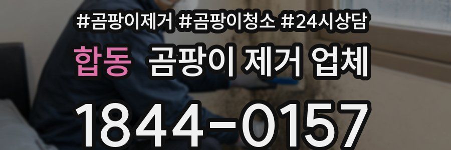 합동 곰팡이 제거 업체