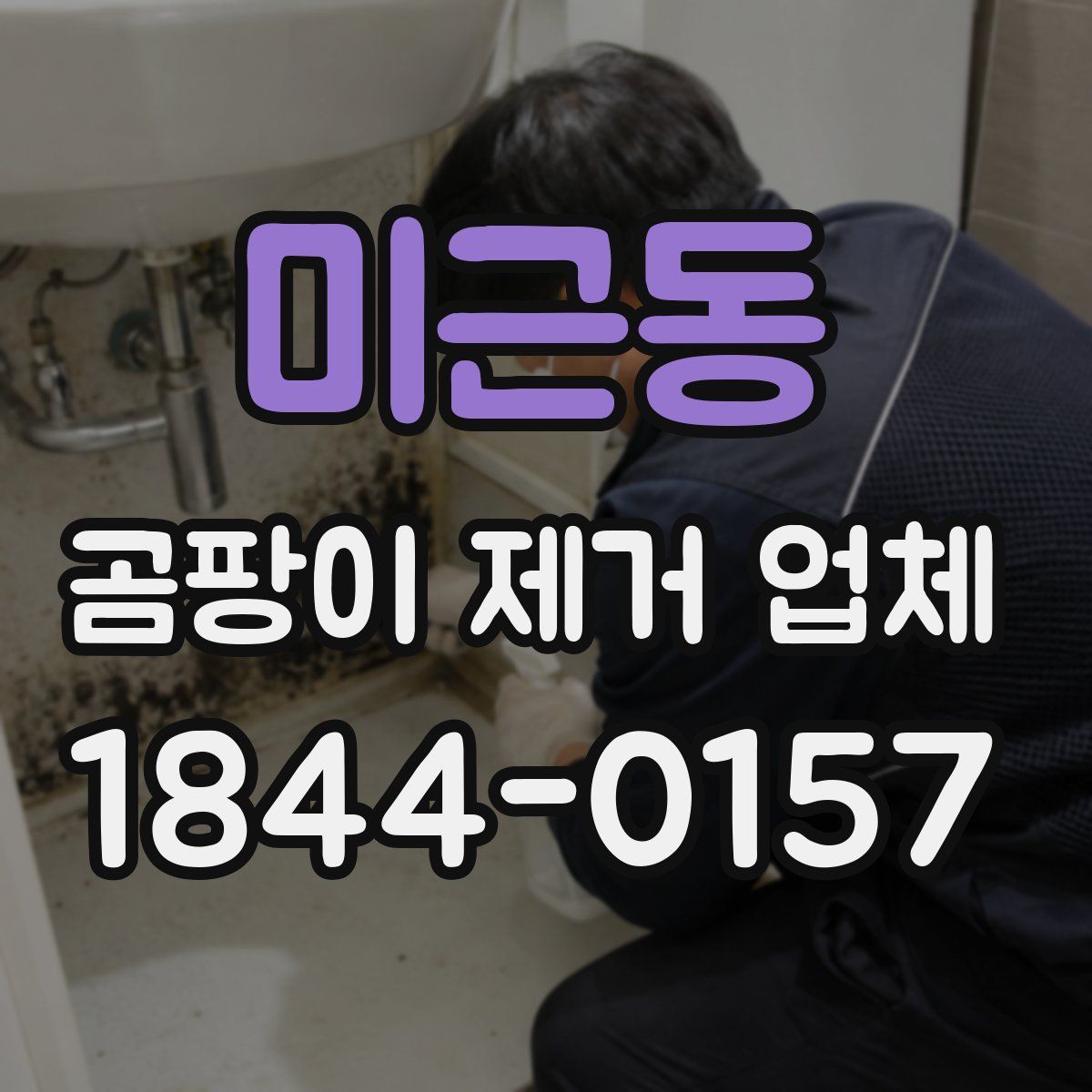미근동 곰팡이 제거 업체