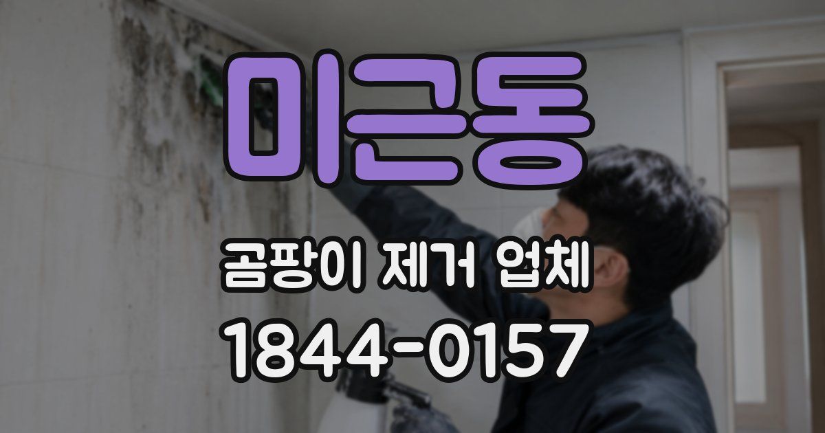 미근동 곰팡이 제거 업체