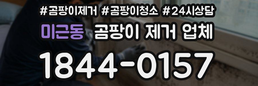미근동 곰팡이 제거 업체