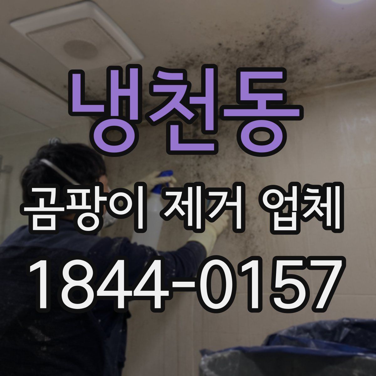 냉천동 곰팡이 제거 업체