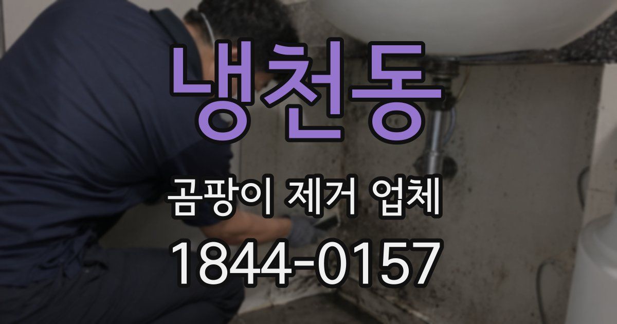 냉천동 곰팡이 제거 업체