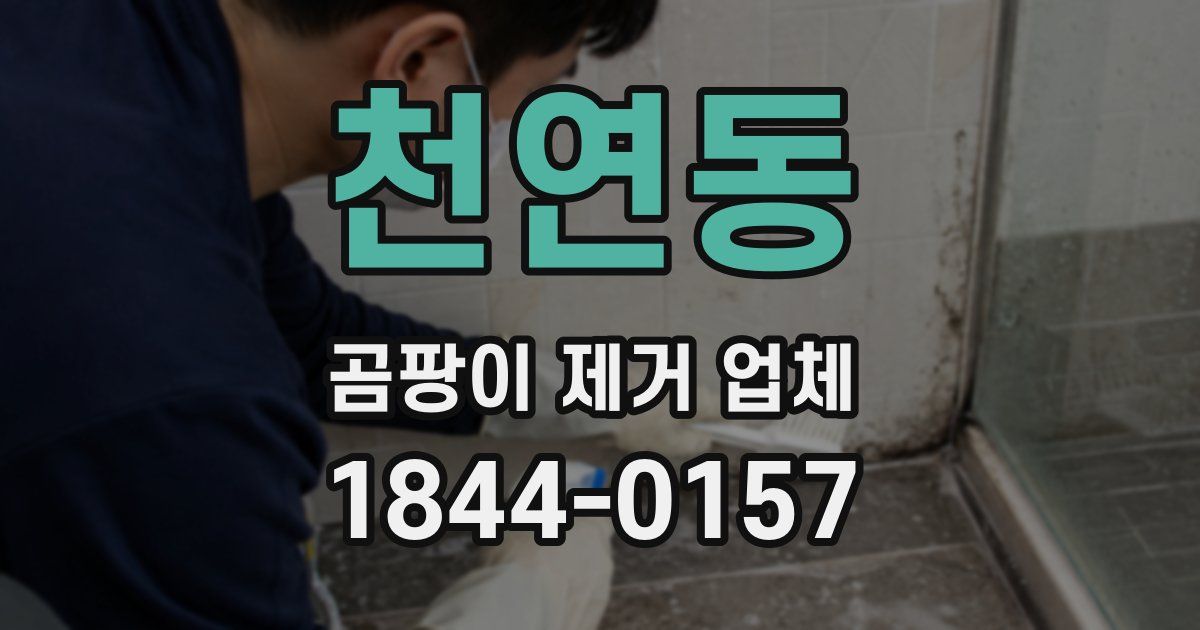 천연동 곰팡이 제거 업체