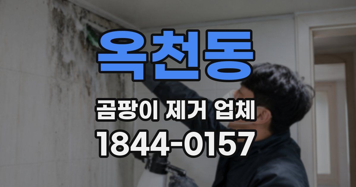 옥천동 곰팡이 제거 업체