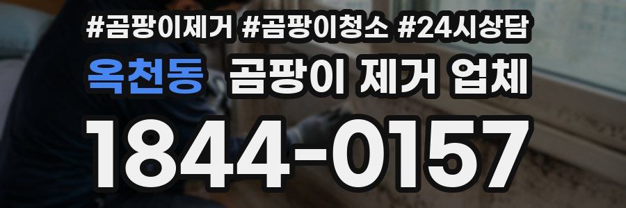 옥천동 곰팡이 제거 업체
