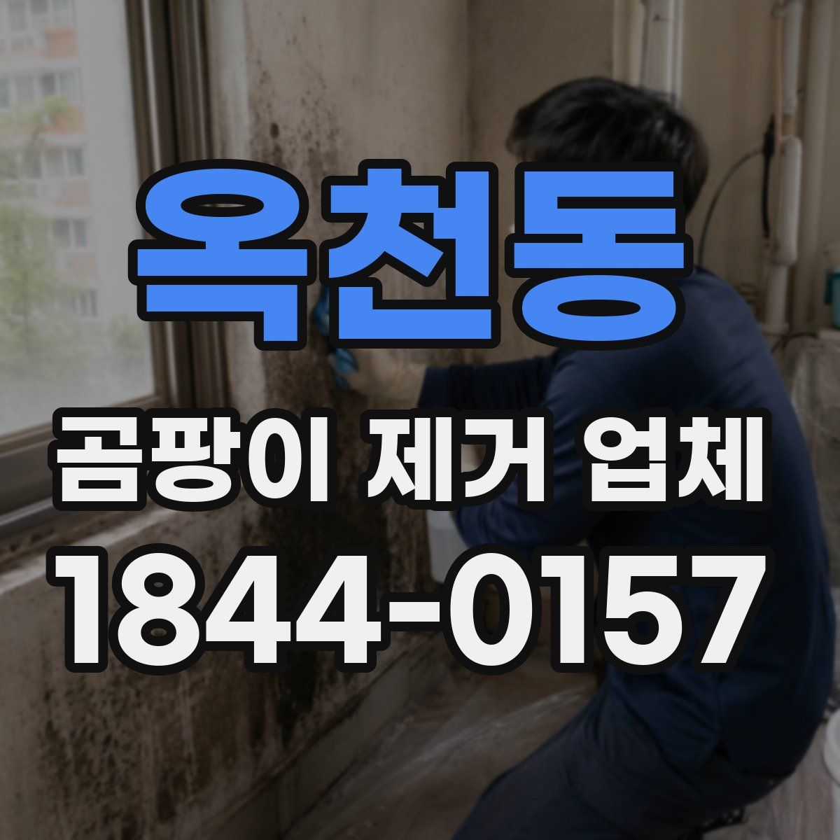 옥천동 곰팡이 제거 업체