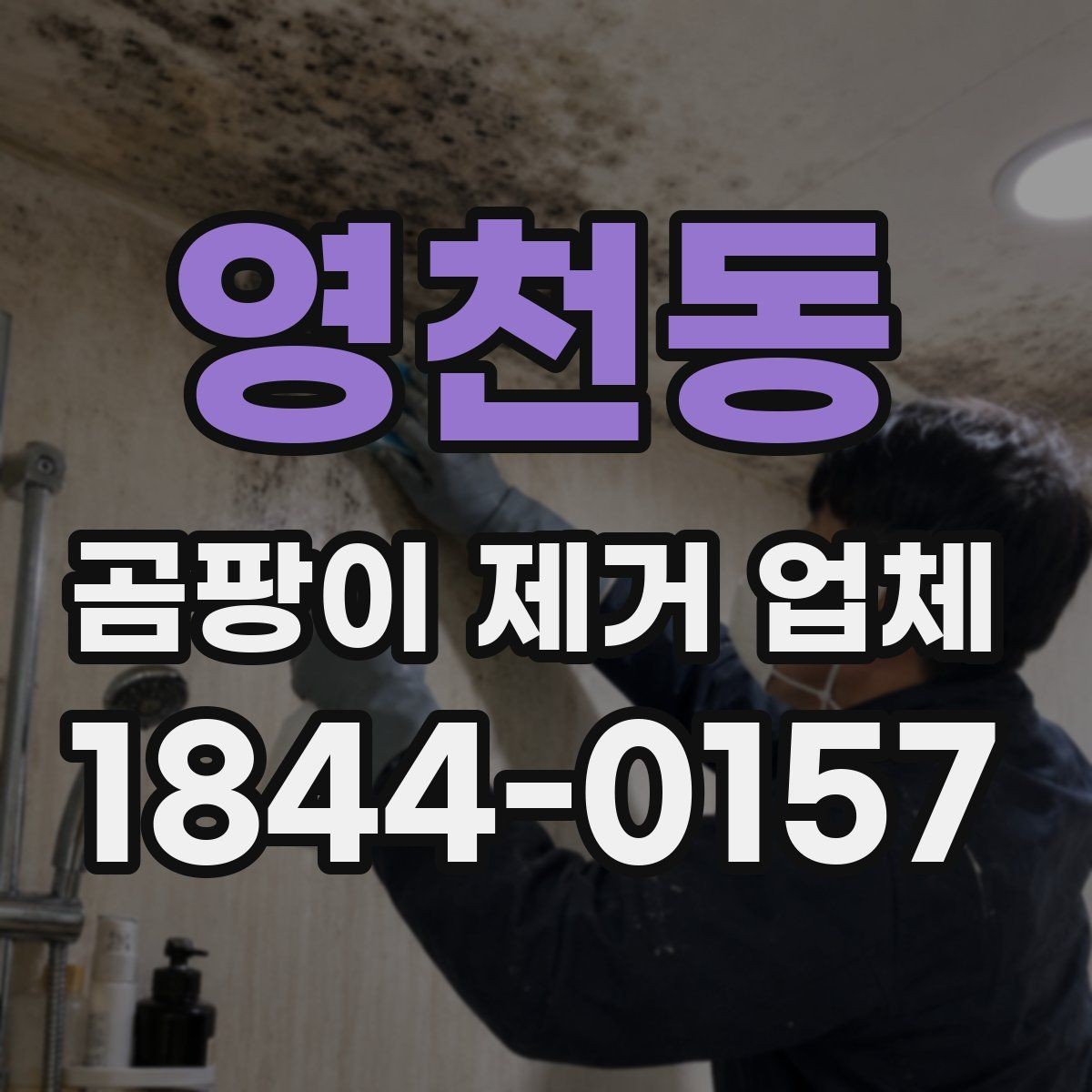 영천동 곰팡이 제거 업체 현장 방문 진단이 중요한 이유