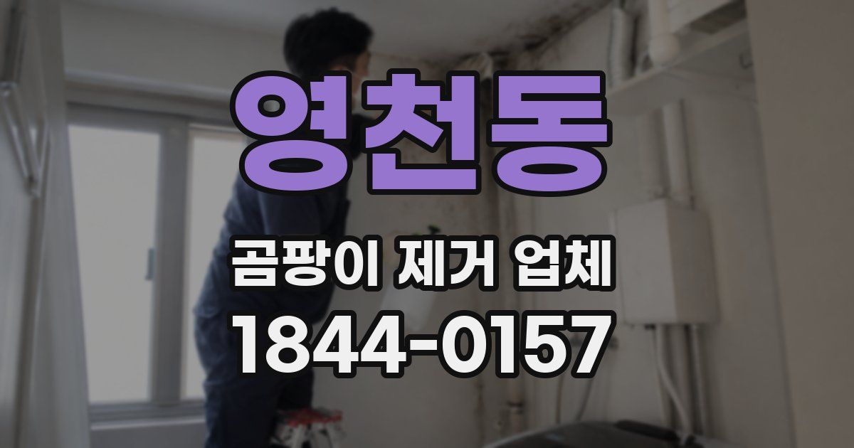 영천동 곰팡이 제거 업체