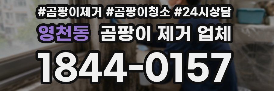 영천동 곰팡이 제거 업체