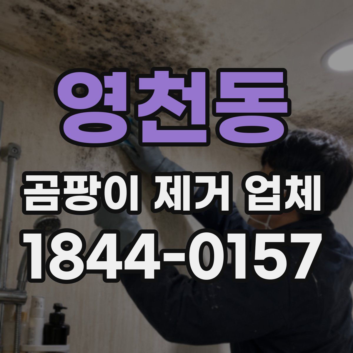 영천동 곰팡이 제거 업체