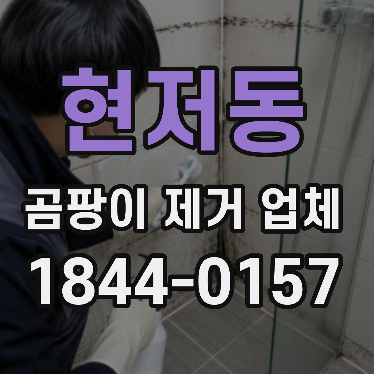 현저동 곰팡이 제거 업체